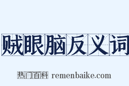 贼眼脑反义词是什么意思的图片